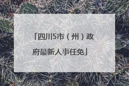 四川5市（州）政府最新人事任免