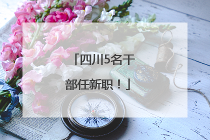四川5名干部任新职！