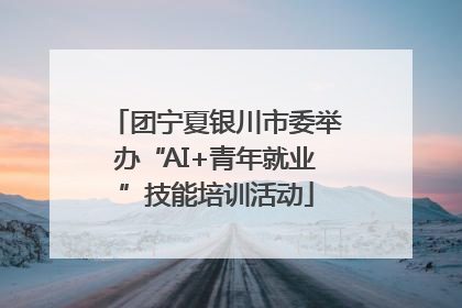 团宁夏银川市委举办“AI+青年就业”技能培训活动