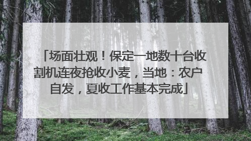 场面壮观！保定一地数十台收割机连夜抢收小麦，当地：农户自发，夏收工作基本完成