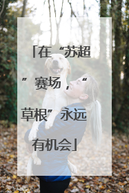 在“苏超”赛场，“草根”永远有机会