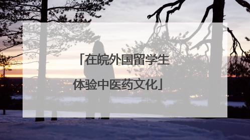 在皖外国留学生体验中医药文化