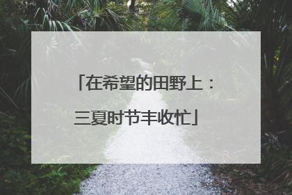 在希望的田野上：三夏时节丰收忙