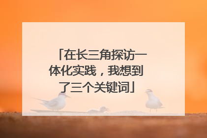 在长三角探访一体化实践，我想到了三个关键词