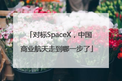 对标SpaceX，中国商业航天走到哪一步了