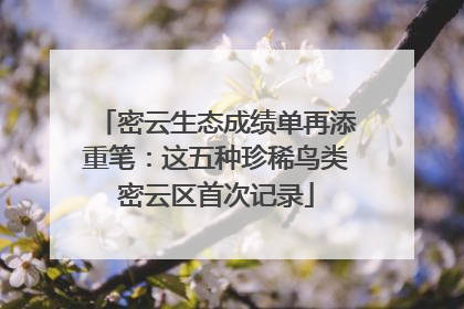密云生态成绩单再添重笔：这五种珍稀鸟类密云区首次记录