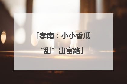 孝南：小小香瓜 “甜”出富路