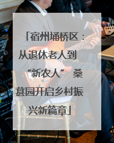 宿州埇桥区：从退休老人到 “新农人” 桑葚园开启乡村振兴新篇章