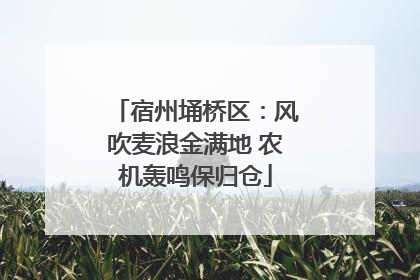 宿州埇桥区：风吹麦浪金满地 农机轰鸣保归仓