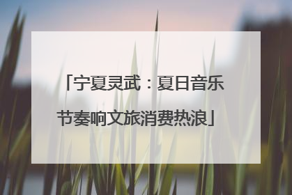 宁夏灵武：夏日音乐节奏响文旅消费热浪