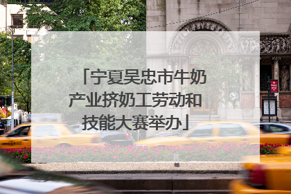 宁夏吴忠市牛奶产业挤奶工劳动和技能大赛举办