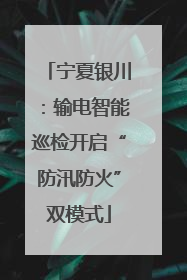 宁夏银川：输电智能巡检开启“防汛防火”双模式