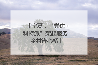 宁夏：“党建+科特派”架起服务乡村连心桥
