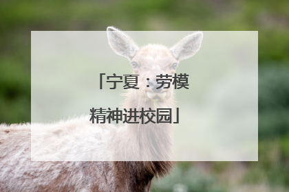 宁夏：劳模精神进校园