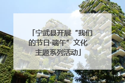 宁武县开展“我们的节日·端午”文化主题系列活动