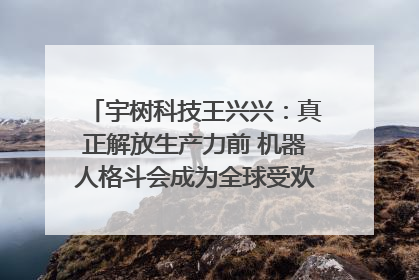 宇树科技王兴兴：真正解放生产力前 机器人格斗会成为全球受欢迎的赛事｜科技观察