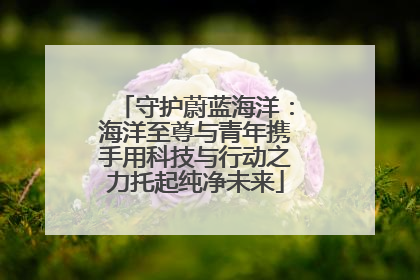 守护蔚蓝海洋：海洋至尊与青年携手用科技与行动之力托起纯净未来