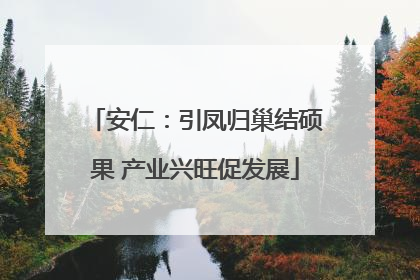 安仁：引凤归巢结硕果 产业兴旺促发展