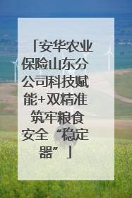 安华农业保险山东分公司科技赋能+双精准 筑牢粮食安全“稳定器”