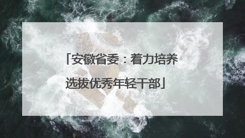 安徽省委：着力培养选拔优秀年轻干部