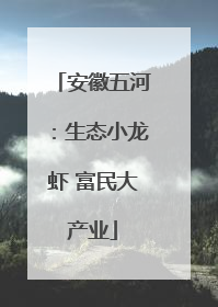 安徽五河：生态小龙虾 富民大产业