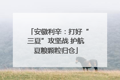 安徽利辛：打好“三夏”攻坚战 护航夏粮颗粒归仓