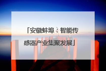 安徽蚌埠：智能传感器产业集聚发展