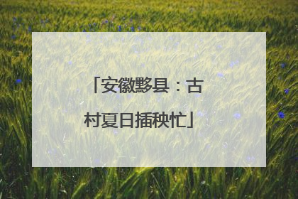 安徽黟县：古村夏日插秧忙