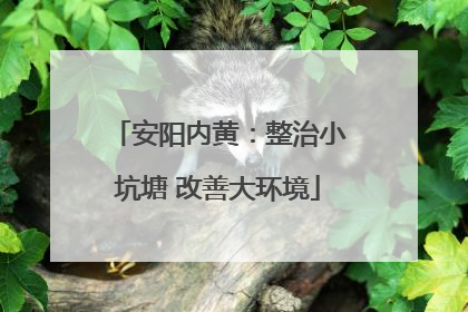 安阳内黄：整治小坑塘 改善大环境