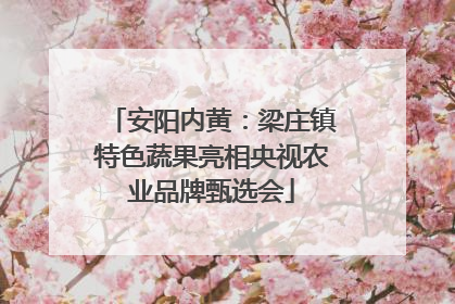 安阳内黄：梁庄镇特色蔬果亮相央视农业品牌甄选会