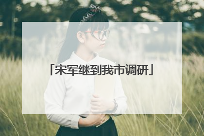 宋军继到我市调研