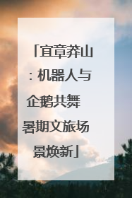 宜章莽山：机器人与企鹅共舞 暑期文旅场景焕新