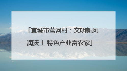 宜城市莺河村：文明新风润沃土 特色产业富农家