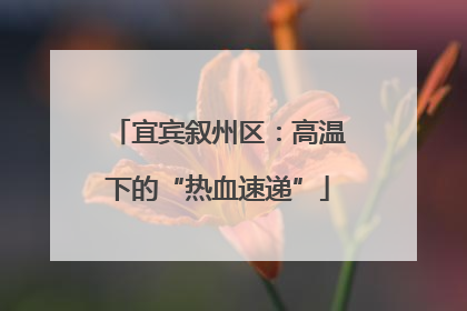宜宾叙州区：高温下的“热血速递”