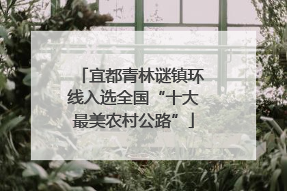 宜都青林谜镇环线入选全国“十大最美农村公路”