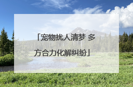 宠物扰人清梦 多方合力化解纠纷
