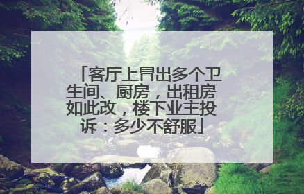 客厅上冒出多个卫生间、厨房，出租房如此改，楼下业主投诉：多少不舒服
