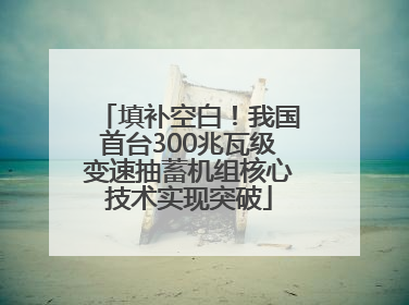 填补空白！我国首台300兆瓦级变速抽蓄机组核心技术实现突破