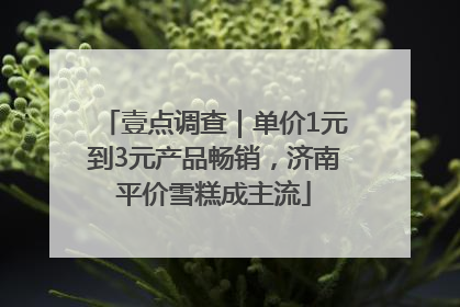 壹点调查｜单价1元到3元产品畅销，济南平价雪糕成主流