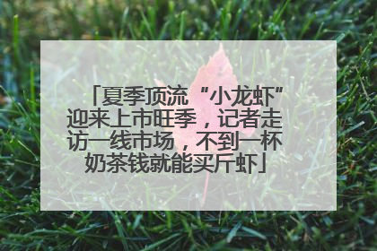 夏季顶流“小龙虾”迎来上市旺季，记者走访一线市场，不到一杯奶茶钱就能买斤虾