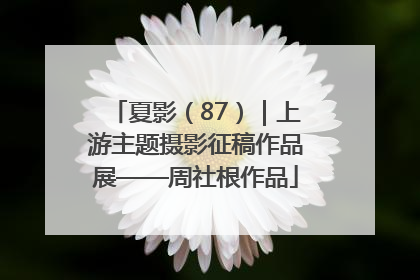 夏影（87）｜上游主题摄影征稿作品展——周社根作品