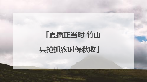 夏播正当时 竹山县抢抓农时保秋收