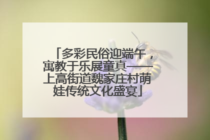 多彩民俗迎端午，寓教于乐展童真——上高街道魏家庄村萌娃传统文化盛宴