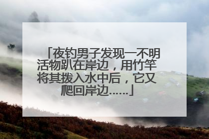 夜钓男子发现一不明活物趴在岸边，用竹竿将其拨入水中后，它又爬回岸边……