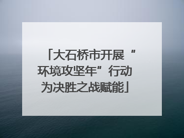 大石桥市开展“环境攻坚年”行动为决胜之战赋能