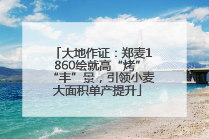 大地作证：郑麦1860绘就高“烤”“丰”景，引领小麦大面积单产提升