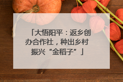 大悟阳平：返乡创办合作社，种出乡村振兴“金稻子”