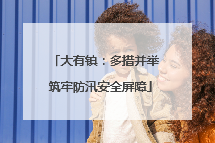 大有镇：多措并举筑牢防汛安全屏障