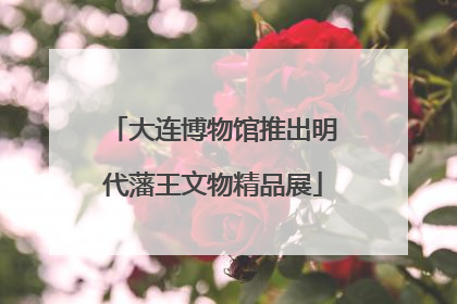 大连博物馆推出明代藩王文物精品展