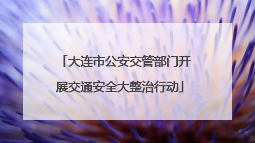 大连市公安交管部门开展交通安全大整治行动